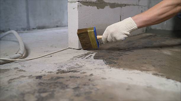 Top rated local Crawl Space Encapsulation specialists in Randolph, AL